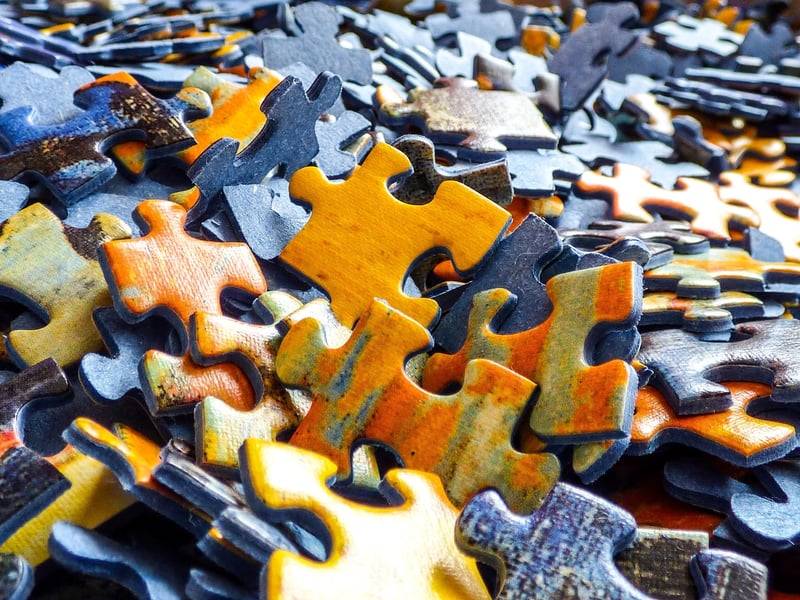 Career Puzzle